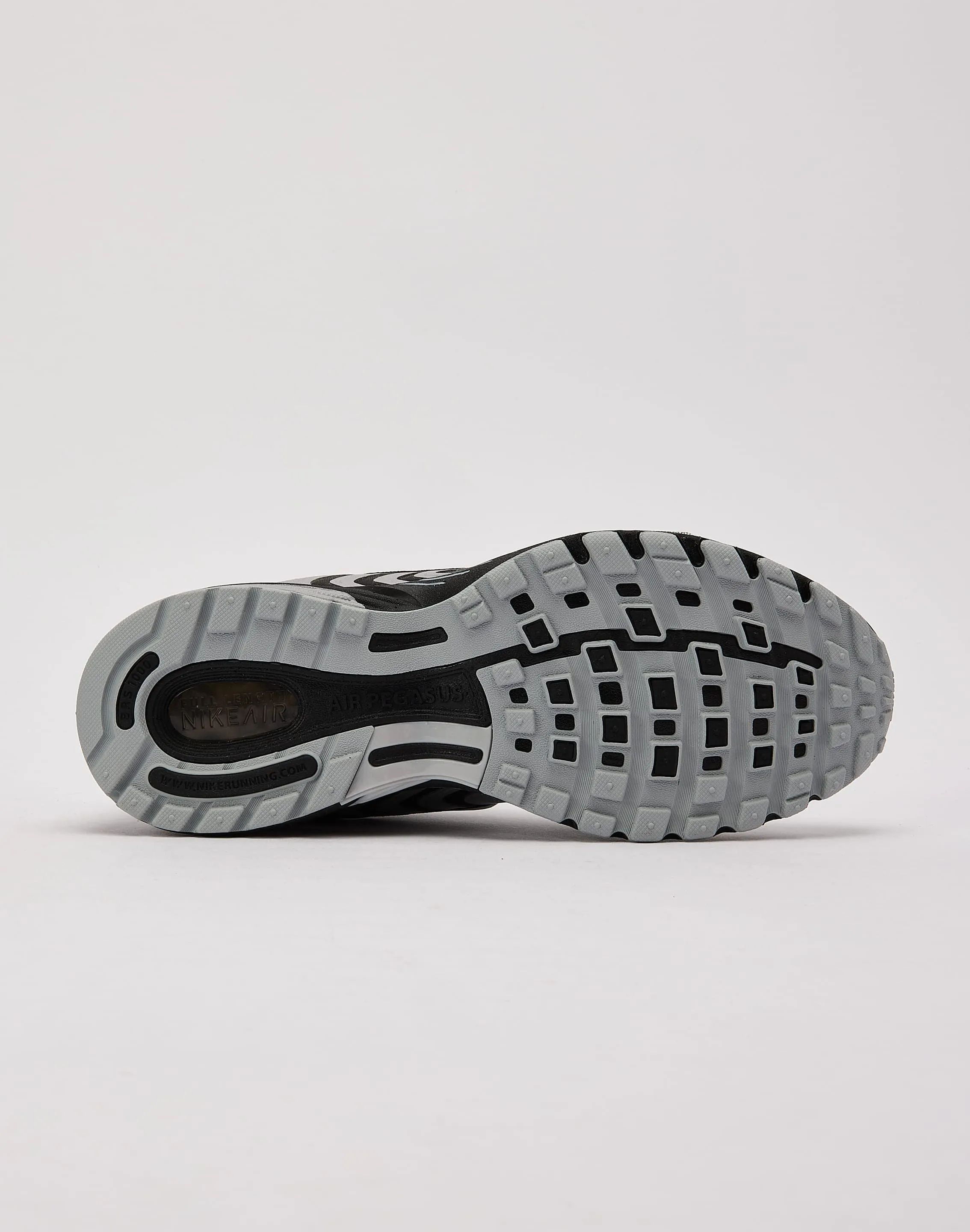 Nike Air Pegasus 2005