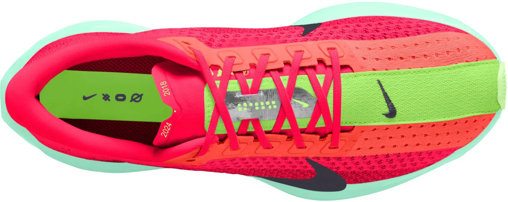 Pegasus Plus Road Running Shoes