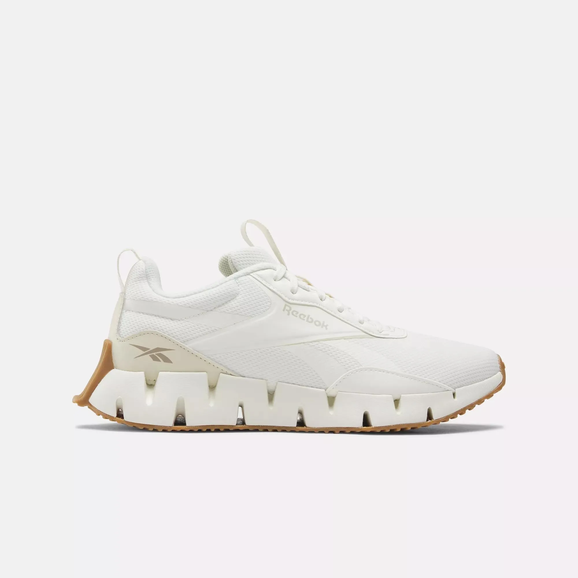 Zig Dynamica STR Shoes