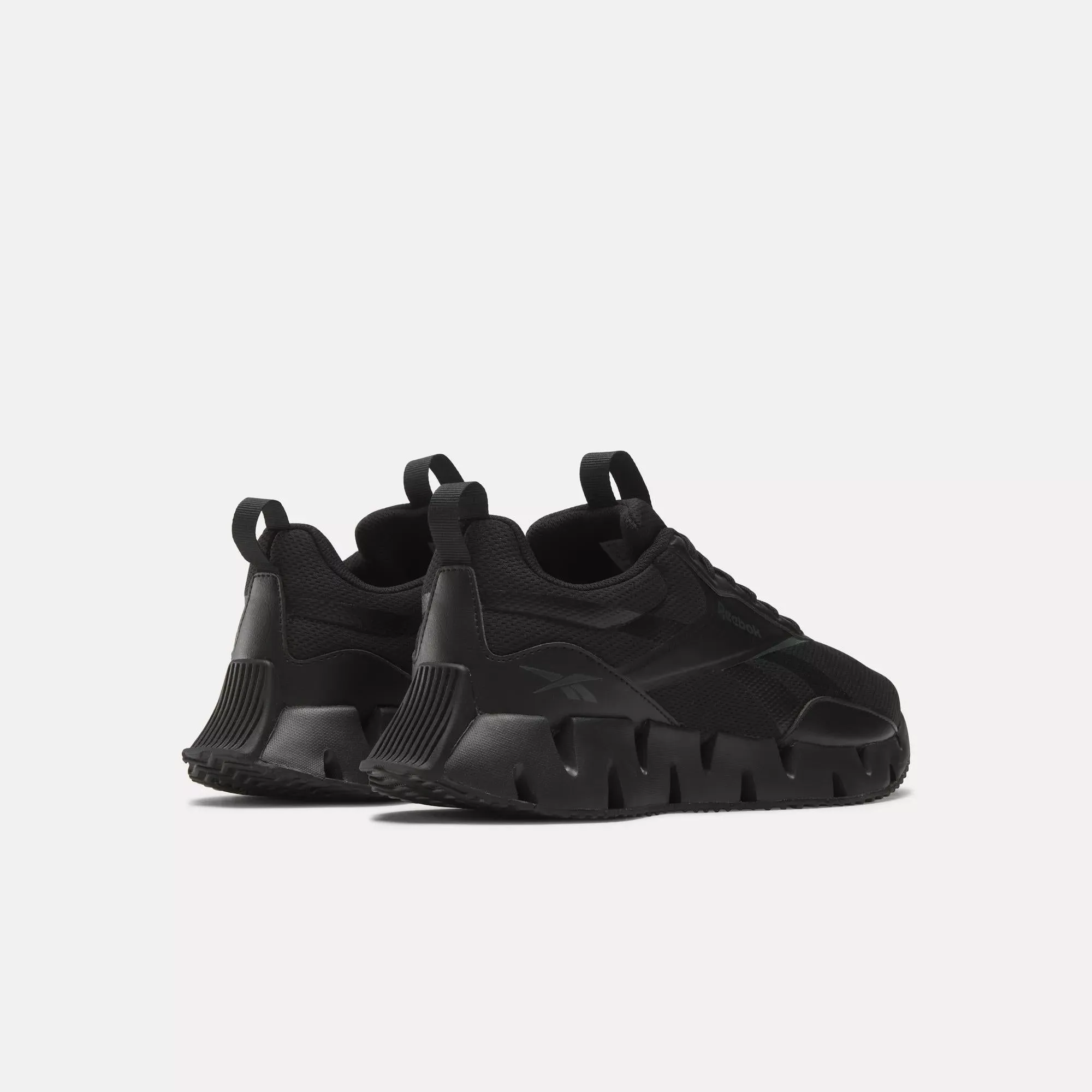 Zig Dynamica STR Shoes