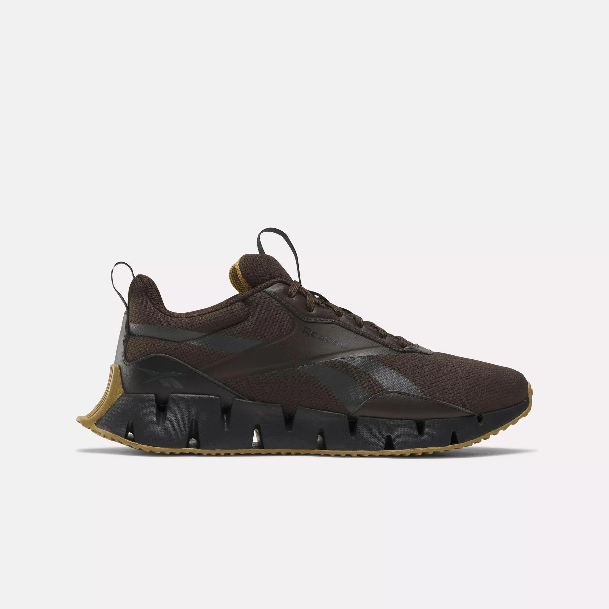 Zig Dynamica STR Shoes